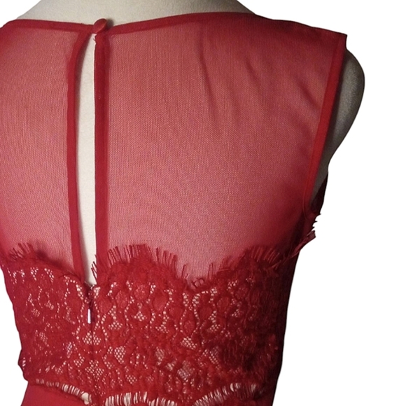 Jax Red Nude Short Sleeve Illusion Eyelash Lace Fitted Sheath Dress Size 2 - Picture 9 of 11